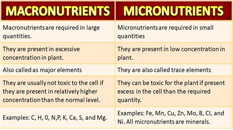 micronutrients definition biology