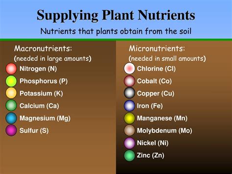 micronutrients examples soil