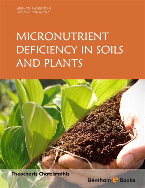 micronutrients in soil pdf