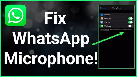 microphone not working on whatsapp video call