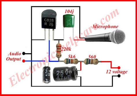 Microphone With Electronic Circuit