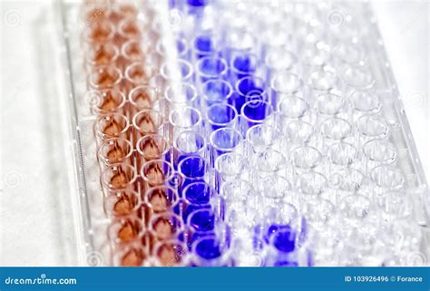 Microplate Definition In Science