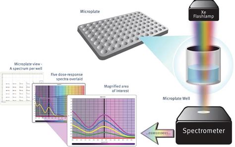 Microplate Fluorescence Spectroscopy