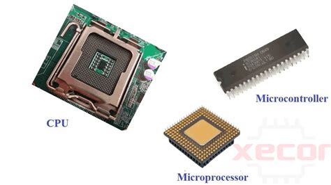 Microprocessor Vs Processor