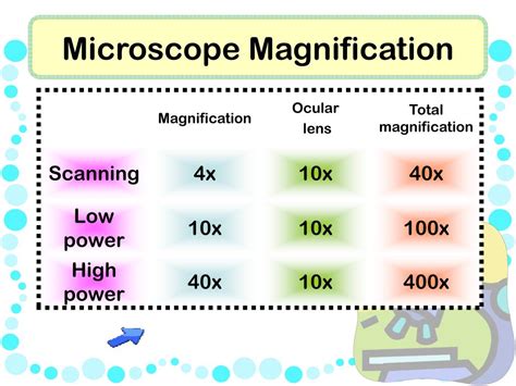 Microscope Blue Lens Magnification