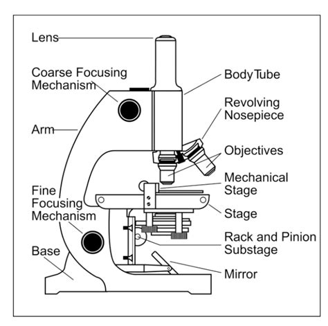 Microscope Definition And Types
