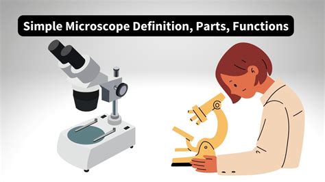 Microscope Definition In Urdu Language