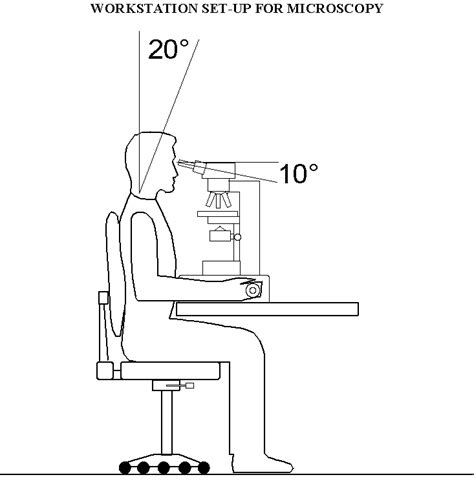 Microscope Ergonomics Posture