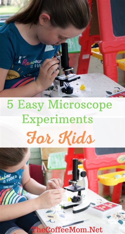 Microscope Experiments For Elementary Students