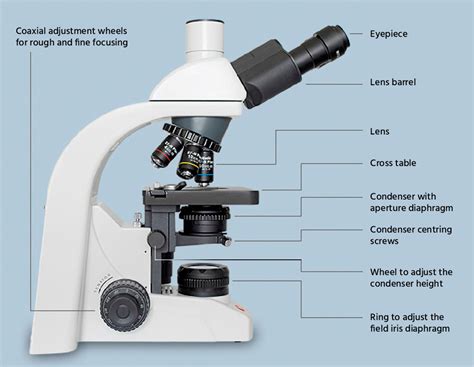 Microscope Field Function