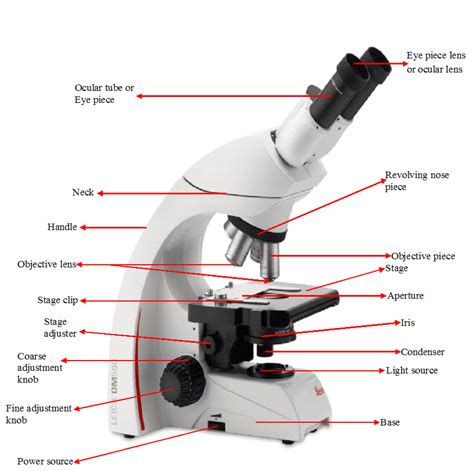 Microscope Function In Histology