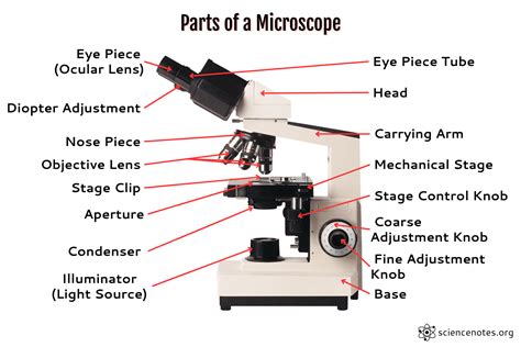 Microscope Glass Name