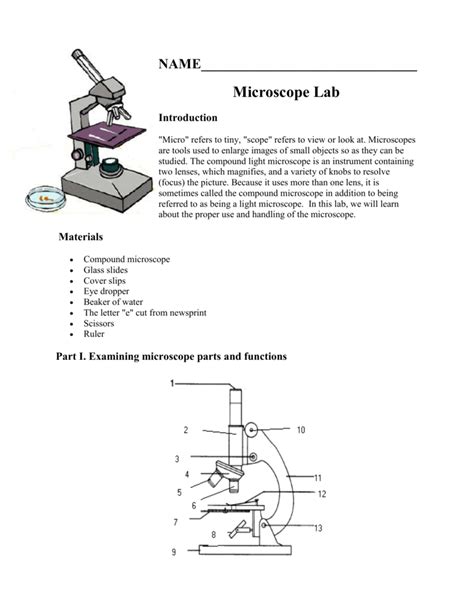 Microscope Lab Introduction