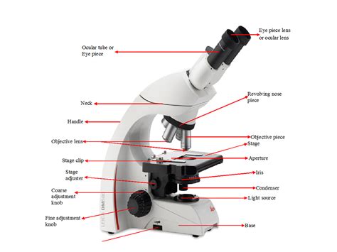 Microscope Laboratory Function