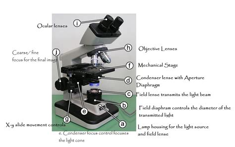 Microscope Lens Function