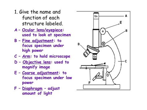Microscope Measurement Function
