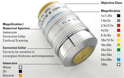Microscope Objective Lenses Labeled