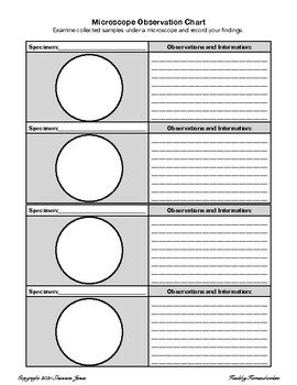 Microscope Observations To Scale With Graph Paper