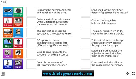 Microscope Parts And Functions Game