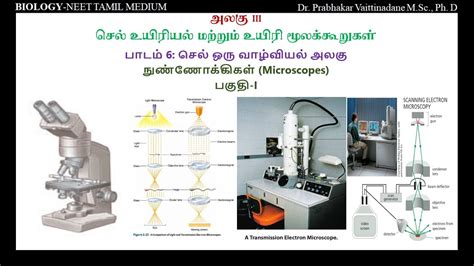 Microscope Slide In Tamil Meaning
