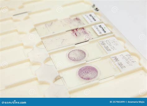 Microscope Slide Substitute