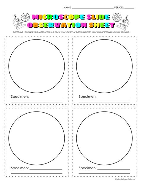Microscope Slide Worksheet