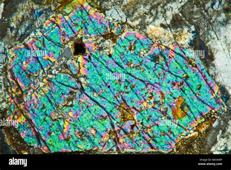 Microscope Slides Of Rocks