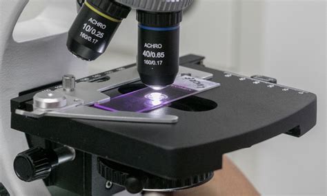 Microscope Stage Explain