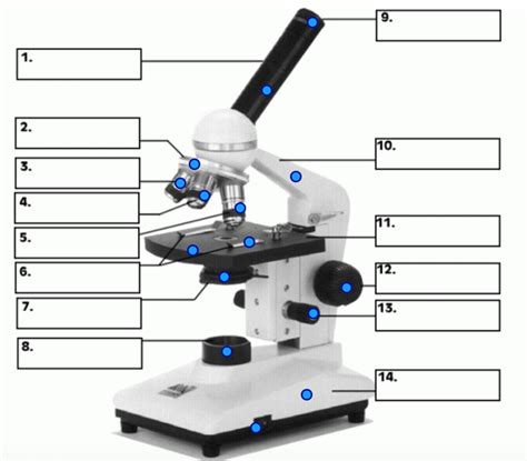 Microscope Video Middle School