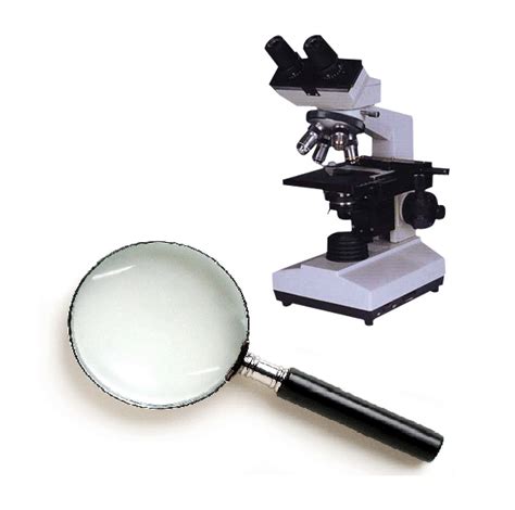 Microscope Vs Hand Lens