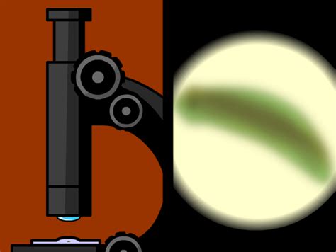 Microscopes Quiz Brainpop