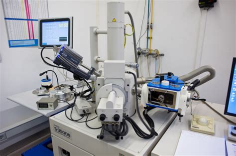 Discussion Microscopia Optica Y Electronica Latest