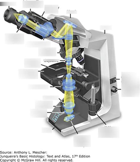 Microscopy Terms Quizlet