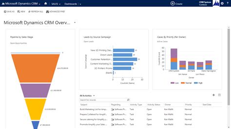 microsoft crm program