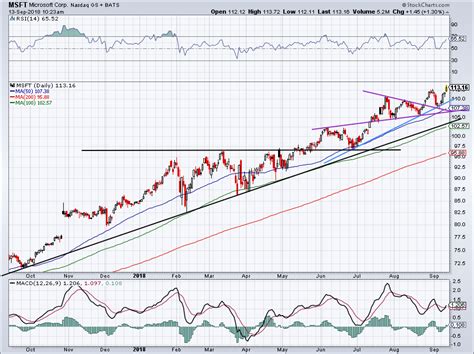 Microsoft Stock's Journey Through the Years: A Visualized History