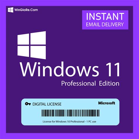 microsoft windows 11 professional license key