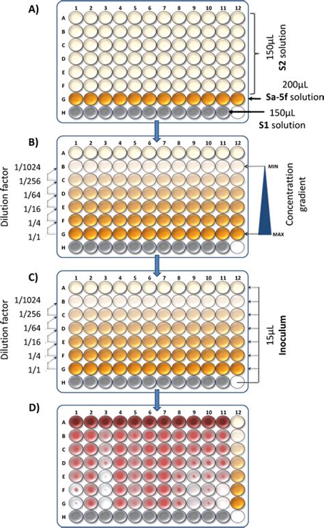 Microtiter Plate Method