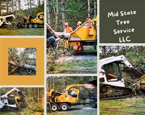 mid state tree service