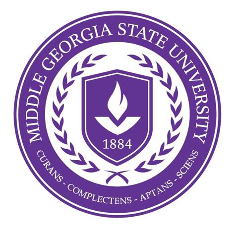 middle georgia state university division