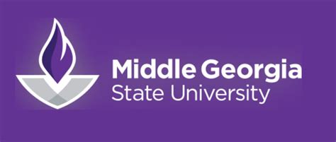 middle georgia state university login