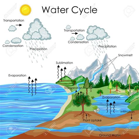 middle school labeled water cycle diagram