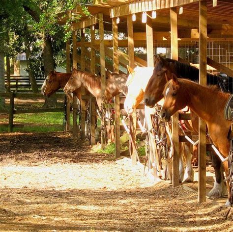Middleton Equestrian Center
