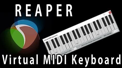 Midi Interface In Reaper