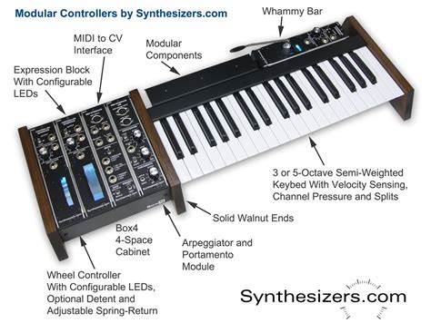 Midi Keyboard With Modular Synth