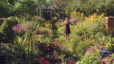Midsummer Garden Plants