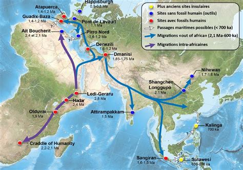 migration date de sortie