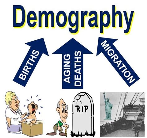 migration definition demography