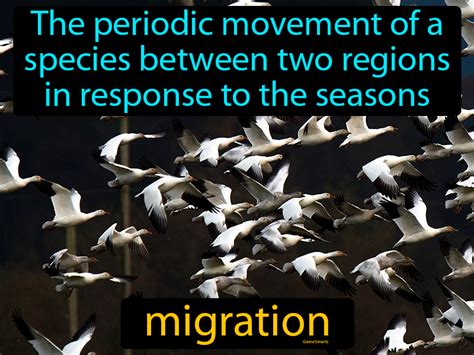 migration definition science