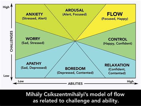 Mihaly Csikszentmihalyi Flow: Achieve Optimal Performance And Happiness