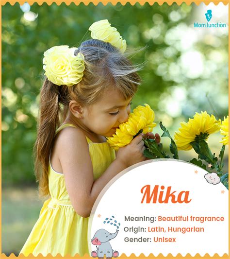 mika name meaning and origin